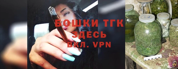 крисы Богородицк