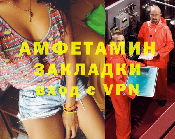 крисы Богородицк