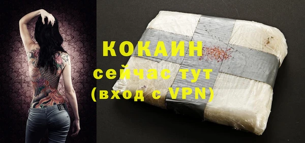 крисы Богородицк